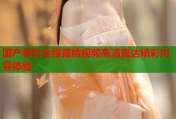 国产老妇全程露脸视频高清直达精彩内容体验