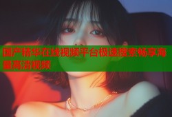国产精华在线视频平台极速搜索畅享海量高清视频