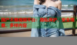 国产不雅视频平台：隐私保护，安全观看，多样内容