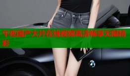午夜国产大片在线视频高清畅享无限精彩