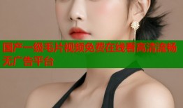 国产一级毛片视频免费在线看高清流畅无广告平台