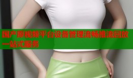 国产原视频平台设备管理流畅推流回放一站式服务