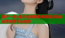 国产一级a爱片在线观看视频高清流畅免费观看平台推荐