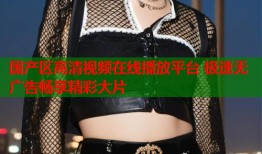 国产区高清视频在线播放平台 极速无广告畅享精彩大片
