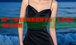 国产三级在线观看视频平台：免费高清电影在线看