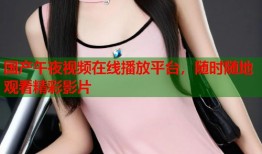 国产午夜视频在线播放平台，随时随地观看精彩影片