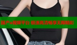 国产a视频平台 极速高清畅享无限精彩