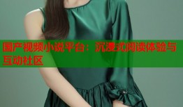 国产视频小说平台：沉浸式阅读体验与互动社区