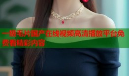一级毛片国产在线视频高清播放平台免费看精彩内容