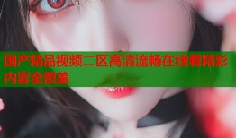 国产精品视频二区高清流畅在线看精彩内容全覆盖