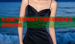 东北国产在线视频平台精彩呈现海量高清视频体验