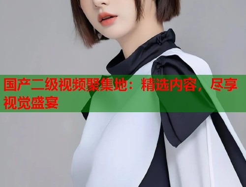 国产二级视频聚集地：精选内容，尽享视觉盛宴