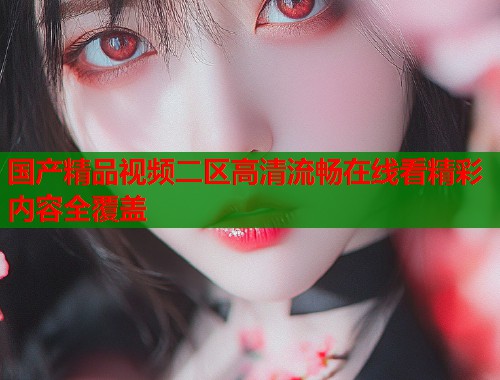 国产精品视频二区高清流畅在线看精彩内容全覆盖
